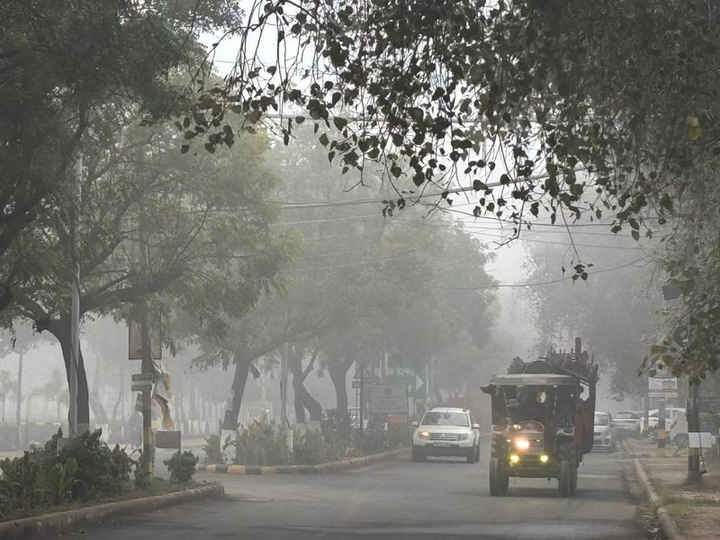Punjab News reports dense fog and cold waves affecting Punjab and Haryana