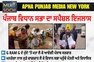 Special Session of the Punjab Legislative Assembly