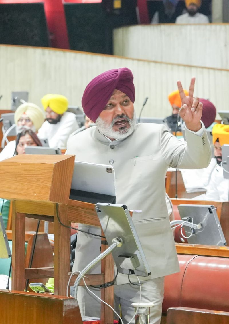 Punjab Budget Women Scheme announcement in Assembly