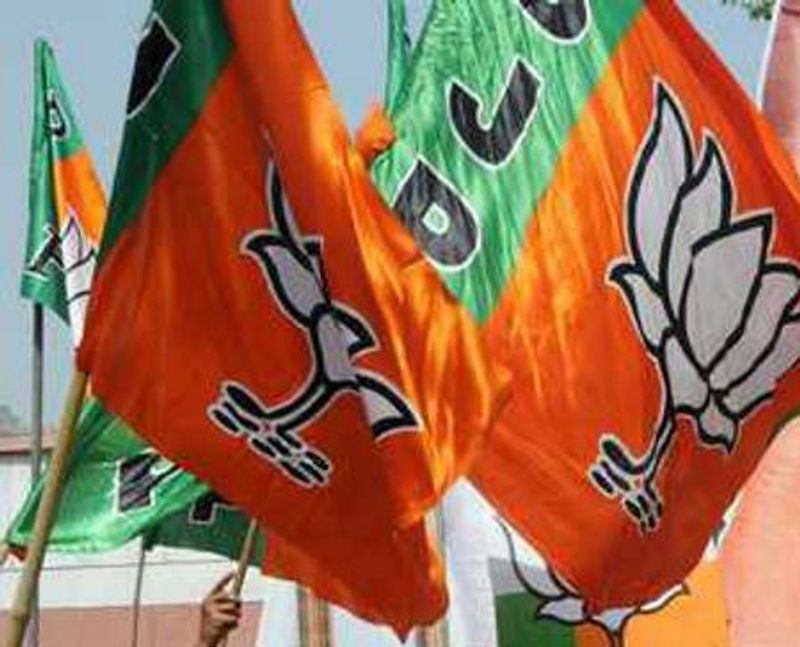 BJP donations ADR report highlights funding gap