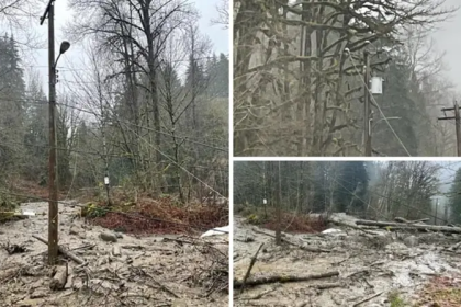 Coquitlam landslide rescue operation with helicopter saving residents