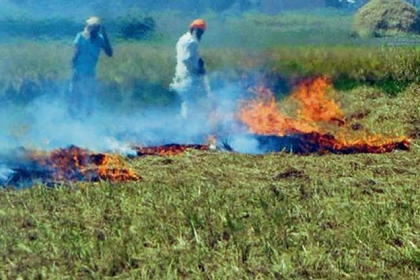 Punjab stubble management budget plan for farmers