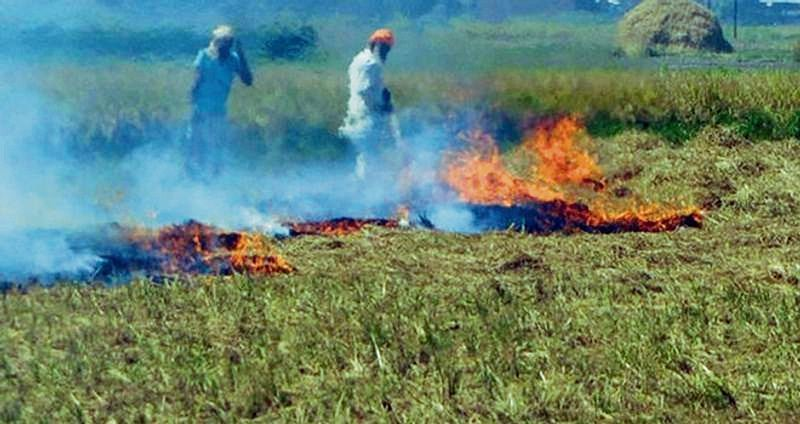 Punjab stubble management budget plan for farmers