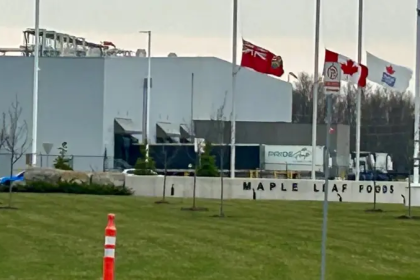 Maple Leaf plant death investigation in Ontario factory