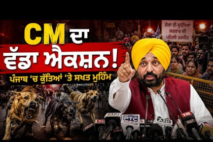 Stray Dog Shelters Punjab initiative by CM Bhagwant Mann government