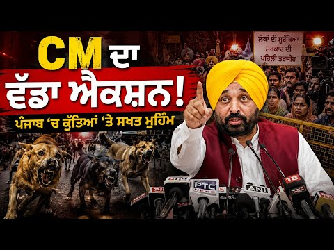 Stray Dog Shelters Punjab initiative by CM Bhagwant Mann government