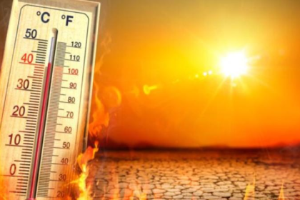 Punjab Heatwave Alert News