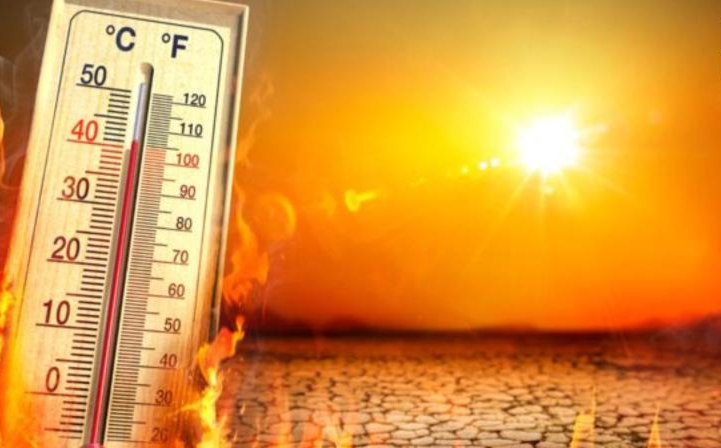 Punjab Heatwave Alert News