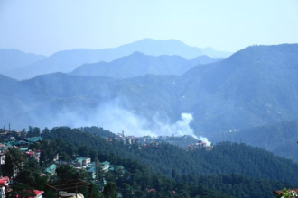 Shimla Forest Fire News showing massive forest fire in Baragaon Shimla hills