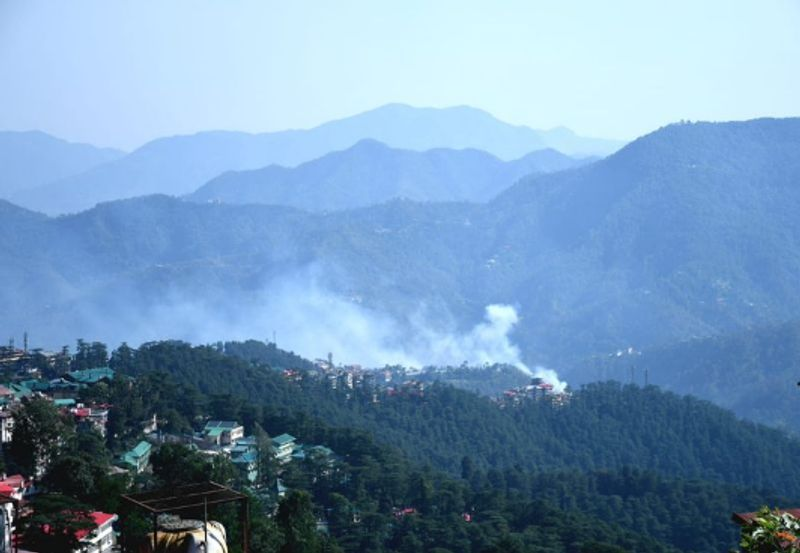 Shimla Forest Fire News showing massive forest fire in Baragaon Shimla hills